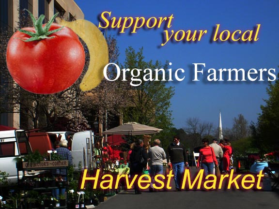 harvest market